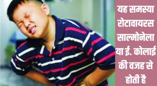 Jansatta Ravivari Sehat |