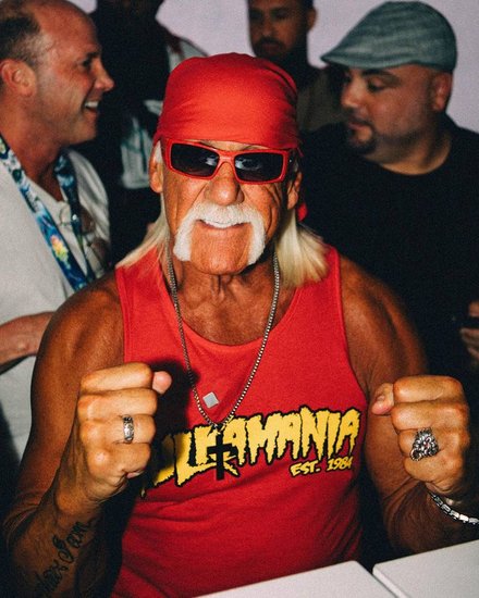 Hulk hogan | Hulk hogan Marriage | Hulk hogan Sky Daily