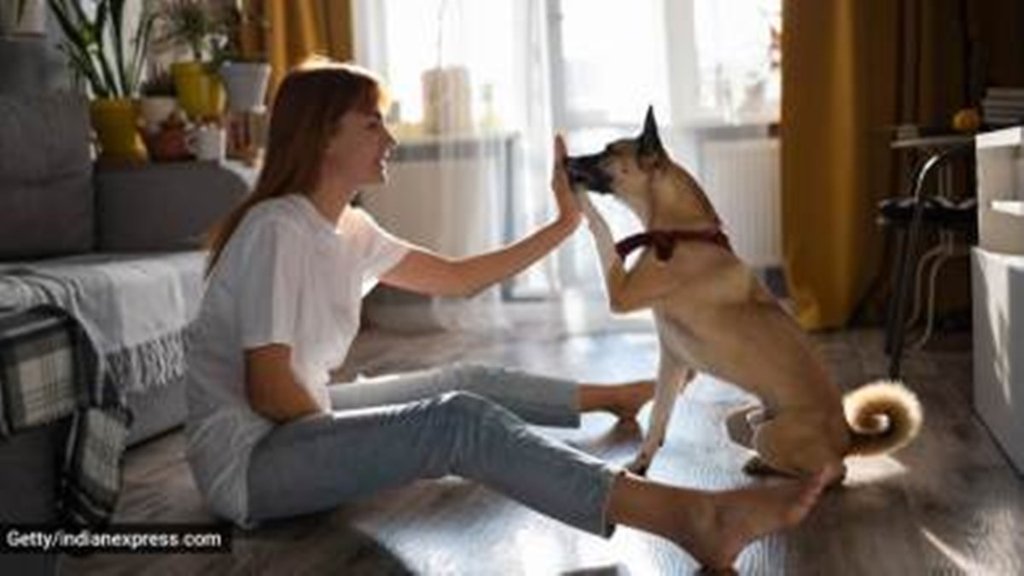 Human | Animal