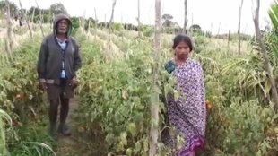 Karnataka II Viral News II HIndi News