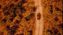 Mahindra ScorpioN pickup: महिंद्रा लॉन्च करेगी स्कॉर्पियो एन पर आधारित कॉन्सेप्ट पिकअप, जानें क्या कहती है रिपोर्ट