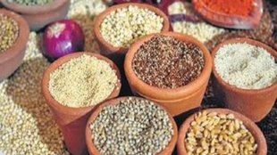 Millets | export