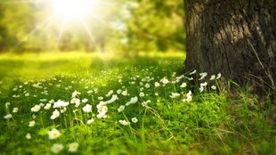 Nature | environment | Pollution
