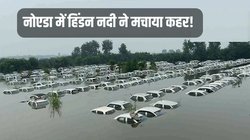 Hindon River News: हिंडन में बढ़ा जलस्तर तो OLA को हुआ नुकसान, डूबीं सैकड़ों कार, DM बोले- यार्ड अनाधिकृत, चेतावनी के बाद भी नहीं हटाईं गाड़ियां