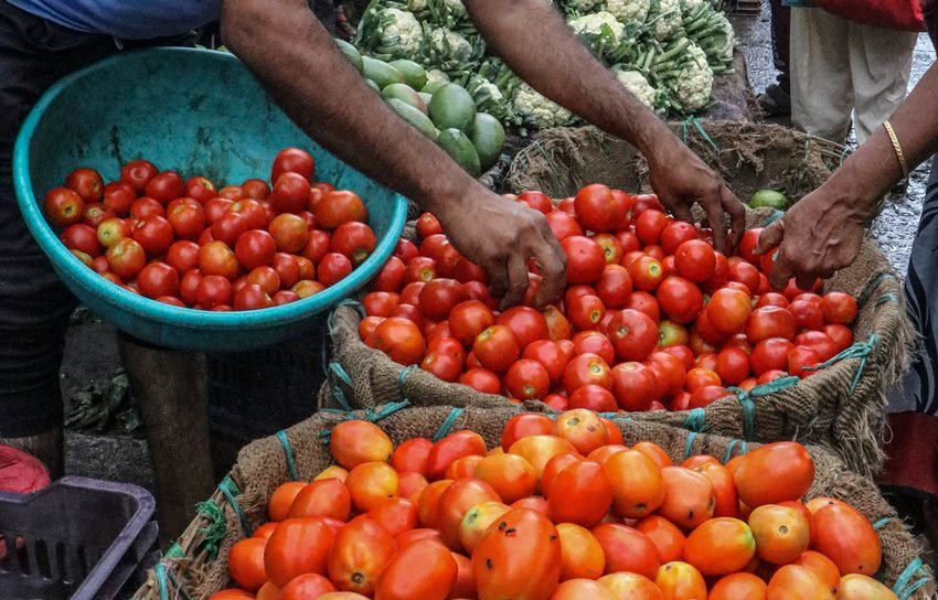 Tomato price Hike 5
