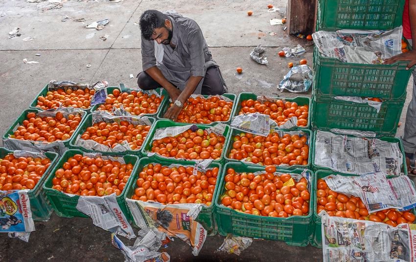 Tomato price Hike 6