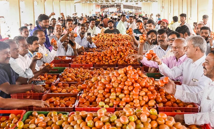 Tomato price Hike 7