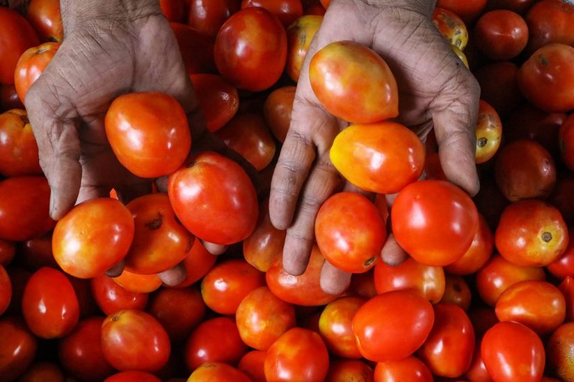 Tomato price Hike 1