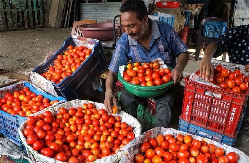 Tomato price Hike 8