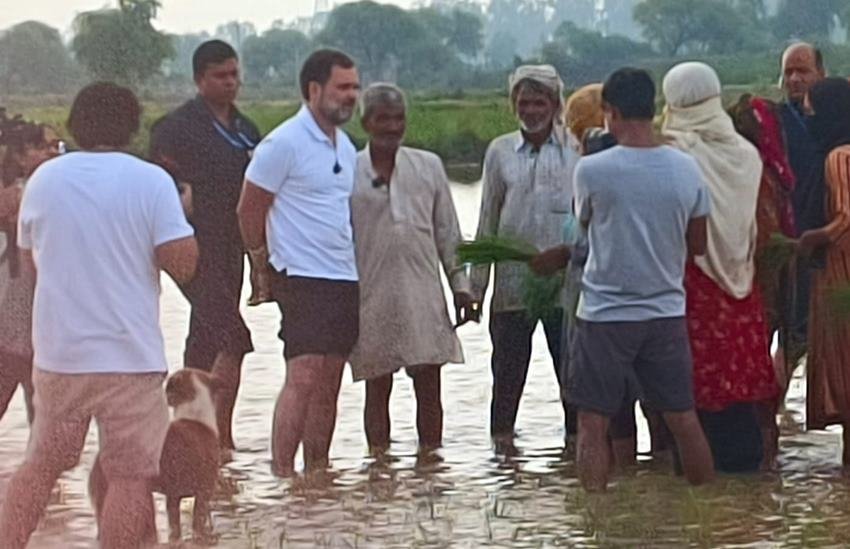 Rahul Gandhi 2