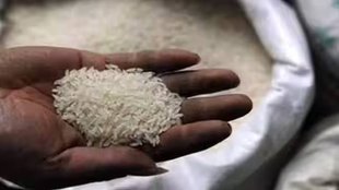 RICE | non-basmati white rice |