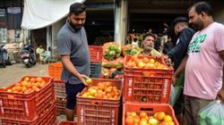 टमाटर को लेकर हुआ झगड़ा तो घर छोड़ भाग गई पत्नी, पति ने खाई कसम; पुलिस तक पहुंचा मामला