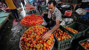 Tomato Price | NAFED |