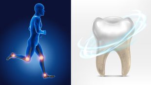 Calcium । Calcium Deficiency । Calcium Rich Foods । calcium rich seeds