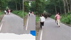 भारी पड़ सकती थी हाथियों के झुंड संग सेल्फी, बाल-बाल बचे लड़के, वीडियो वायरल