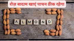 रोज़ सुबह इन 7 तरह के बादाम को भिगोकर खाएं , तेजी से मेल्ट होगा वजन और पाचन भी रहेगा दुरुस्त, जानिए और भी फायदे