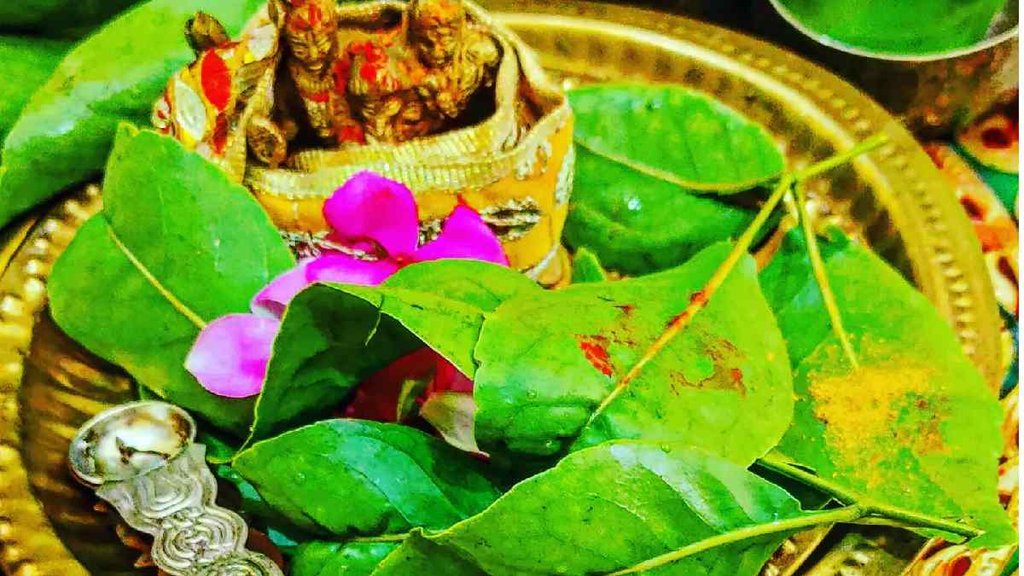 Sawan 2023। Belpatra Niyam । Shivpuran ।
