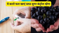 डायबिटीज को कंट्रोल करने में असरदार हैं गर्मी के ये 3 काले फल, ब्लड शुगर रहेगा कंट्रोल, जानिए और भी फायदे