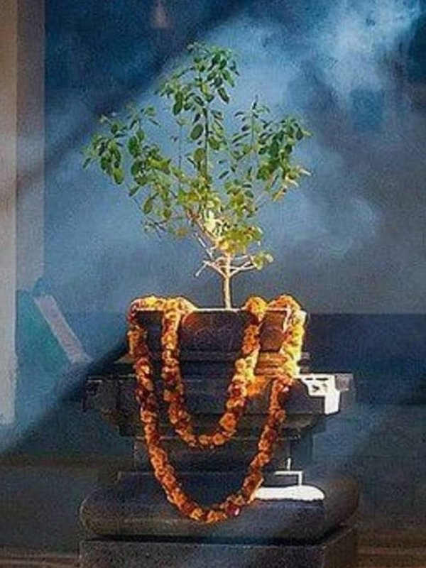 AVOID SOUTH DIRECTION