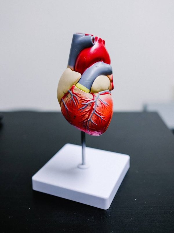 BAD CHOLETEROL - FOOD TO EAT FOR CONTROLLING THIS DISEASE