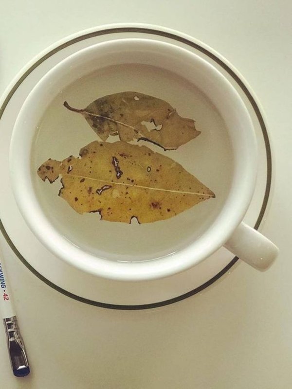 BAY LEAF WATER BENEFITS