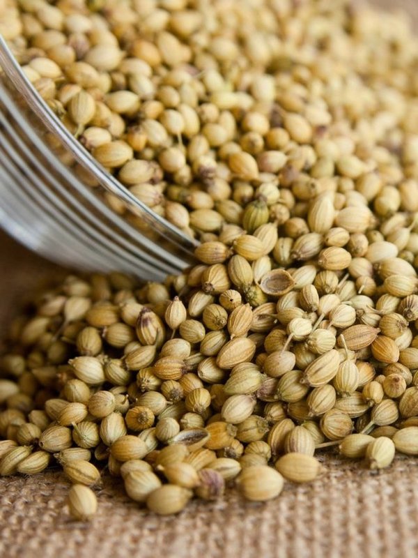 CORIANDER SEEDS BENEFITS