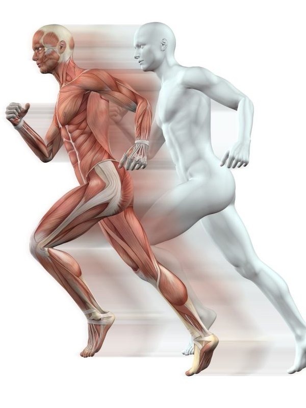 Foods for for increasing stamina (2)