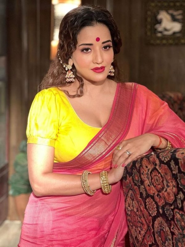 Monalisa Saree Look (4)