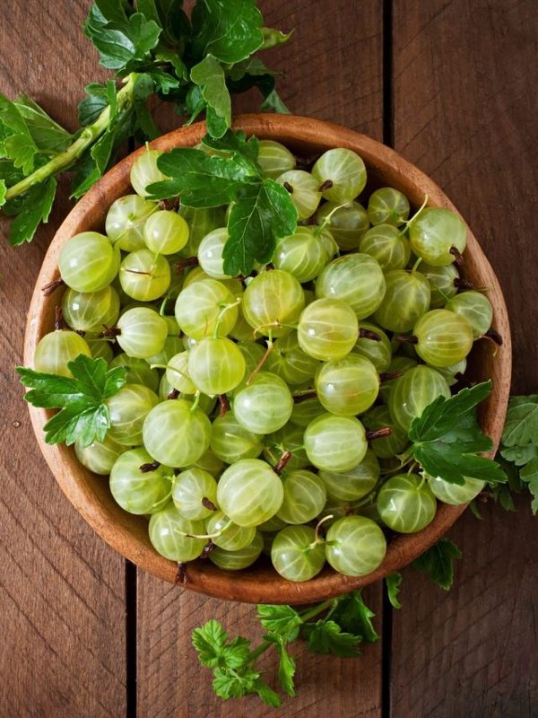 amazing benefits of Amla in monsoon (6)