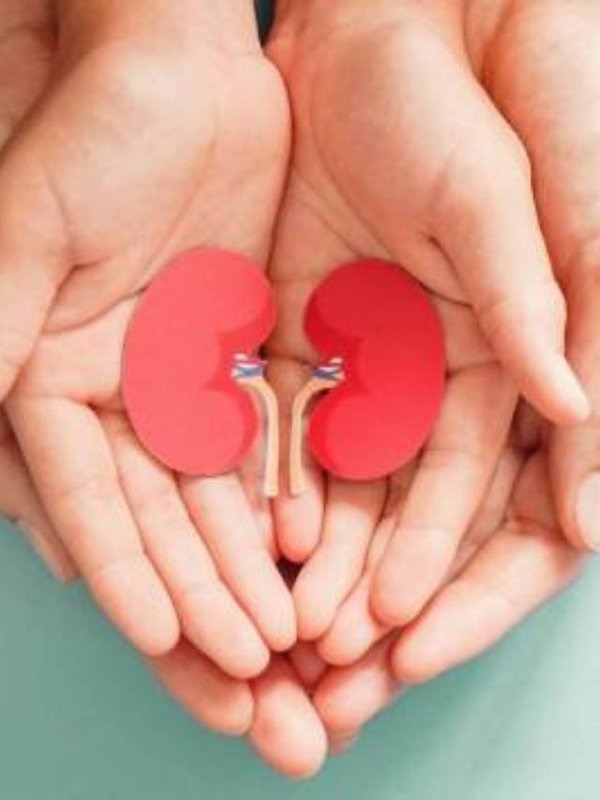 kidney filter clean (1)