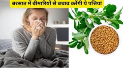 बारिश के मौसम में हल्दी, मेथी और नींबू का सेवन आपके लिए हो सकता है रामबाण, एक्सपर्ट ने बताए इसके फायदे, ये है सेवन का तरीका