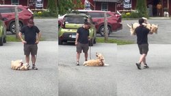 पैदल ना चलने की जिद्द पर अड़ गया कुत्ता, हरकत देख नहीं रुकेगी आपकी भी हंसी