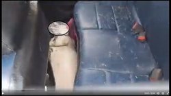 कार में लैब्राडोर डॉग को बंद कर ताजमहल देखने पहुंचा शख्स, लौटा तो हो गई थी मौत, पुलिस ने मालिक के खिलाफ की ये कार्रवाई