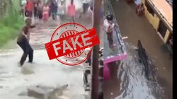 Fact Check: बारिश के चलते अंबाला के रिहायशी इलाकों में घुस आया मगरमच्छ? भ्रामक है दावा
