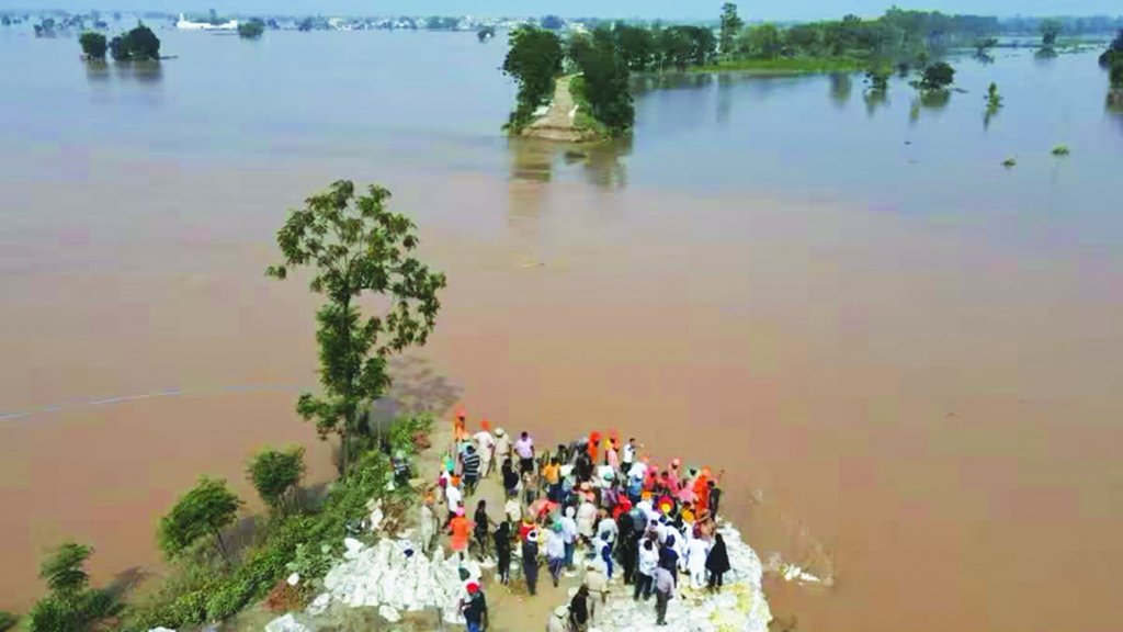 farmer in flood crisis