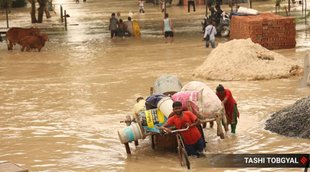 Delhi Floods, Delhi Yamuna Water, Delhi News,