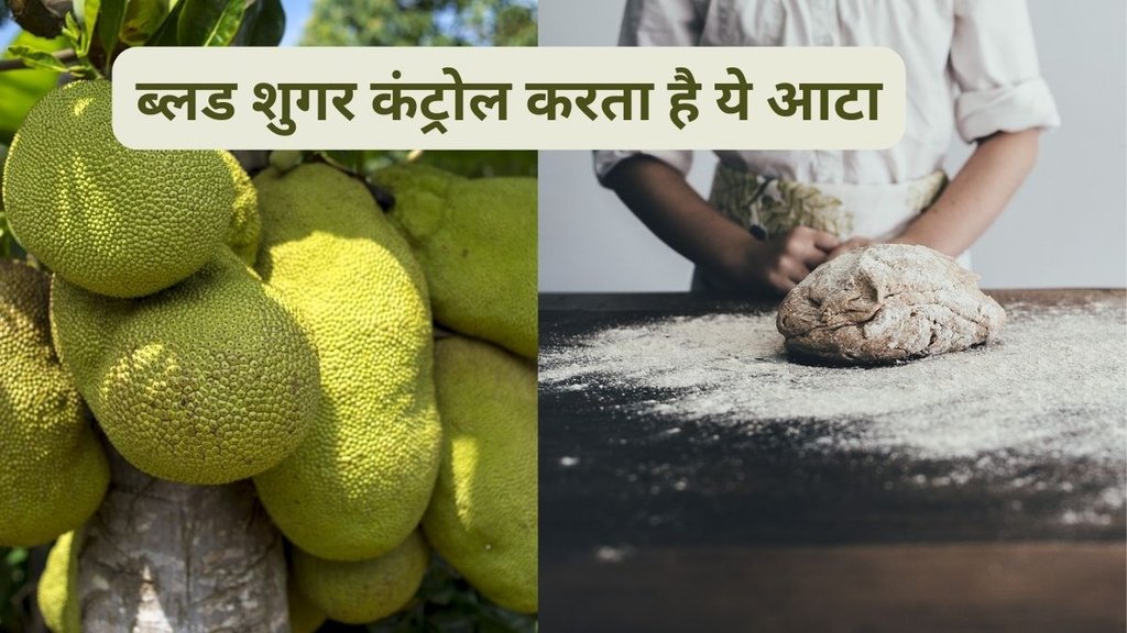 jackfruit benefits for diabetes patients in hindi, how to make jackfruit flour,