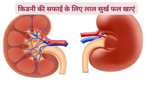 kidney damage symptoms, how to prevent kidney infection, fruits for kidney, what is the first sign of kidney problems, how to improve kidney function, kidney damage symptoms