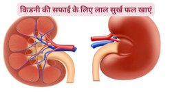 Kidney Cure: किडनी से गंदगी को तेजी से फ्लश आउट करते हैं ये लाल रंग के 4 फल, ब्लड से भी दूर होती है गंदगी, जानिए कैसे