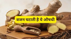 वजन घटाने के लिए अदरक का इन 4 तरीकों से करें इस्तेमाल, पेट की जिद्दी चर्बी भी चंद दिनों में होगी मेल्ट