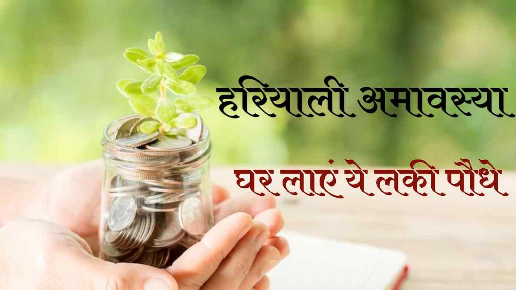 Hariyali Amavasya 2023, Hariyali Amavasya 2023 date, vastu tips, lucky plant