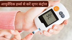 डायबिटीज मरीज तुरंत कम करना चाहते हैं Blood Sugar तो चलते-फिरते इन 4 हर्ब्स को मुंह में चबा लें, पूरा दिन रहेगा रक्त शर्करा नॉर्मल