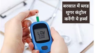 diabetic person, how to prvent monsoon risk in sugar,,मानसून, मानसून का सीजन, शुगर, शुगर का मरीज, डायबिटीज