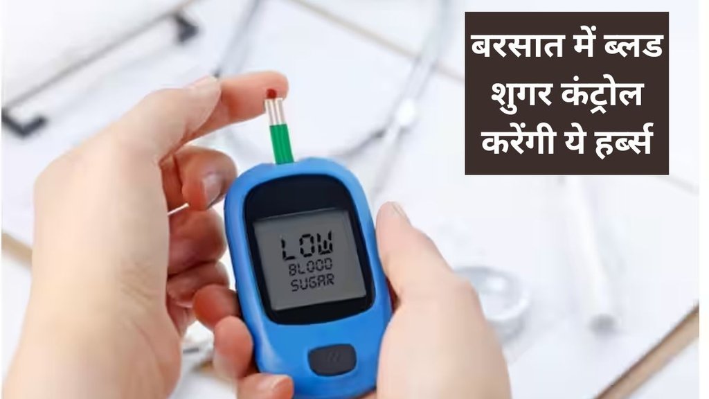 diabetic person, how to prvent monsoon risk in sugar,,मानसून, मानसून का सीजन, शुगर, शुगर का मरीज, डायबिटीज
