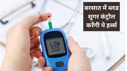 Diabetes Control Tips: बरसात में डायबिटीज के 3 अचूक नुस्खे से करें Blood Sugar का काम तमाम, नहीं रहेगा सेहत को किसी तरह का खतरा
