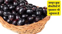 Side Effects of Jamun: बैंगनी रंग के इस फल का सेवन 5 बीमारियों में करता है ज़हर की तरह असर, आज ही करें परहेज़, वरना बढ़ सकती है परेशानी