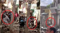 बरेली में कांवड़ियों पर हुआ जमकर पथराव, पुलिस पर भी हमला, मस्जिद के बाहर डीजे बजाने पर शुरू हुआ था विवाद