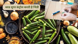 क्या Diabetes मरीज़ भिंडी का सेवन कर सकते हैं? 100 ग्राम lady finger खाने से blood sugar कंट्रोल हो सकता है, एक्सपर्ट से जानिए सच्चाई