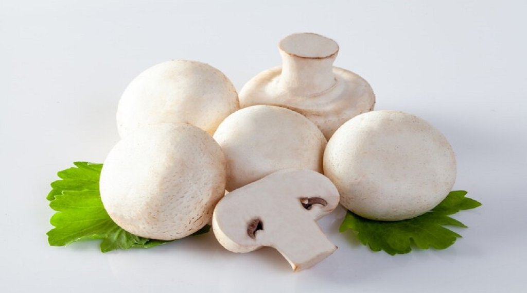 learn simple ways to Identify Poisonous Mushrooms,Ways to Identify Poisonous Mushrooms,How to Keep Mushrooms Fresh for Long Time