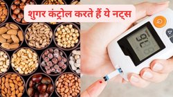 Nuts and Diabetes: ब्लड शुगर स्पाइक को रास्ते में ही रोक देते हैं ये 4 नट्स, खाने के बाद Diabetes रहती है कंट्रोल